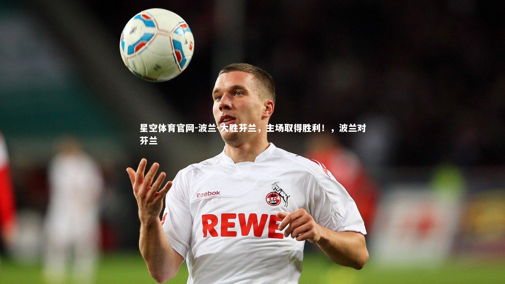 波兰-大胜芬兰，主场取得胜利！，波兰对芬兰