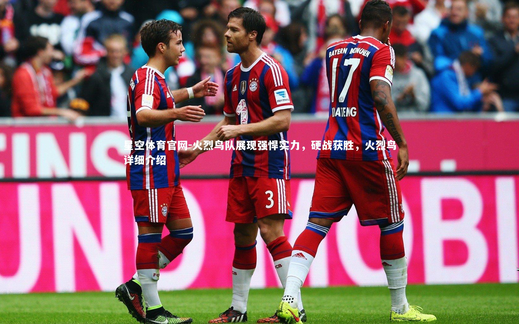 火烈鸟队展现强悍实力,硬战获胜,火烈鸟详细介绍